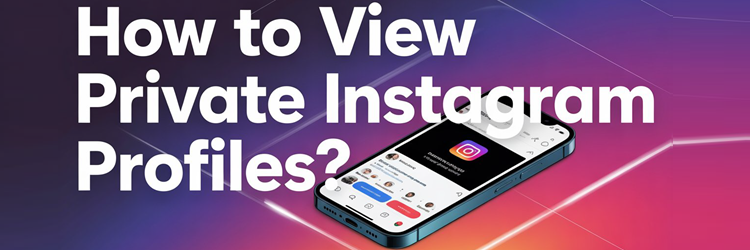 How to View Private Instagram Profiles